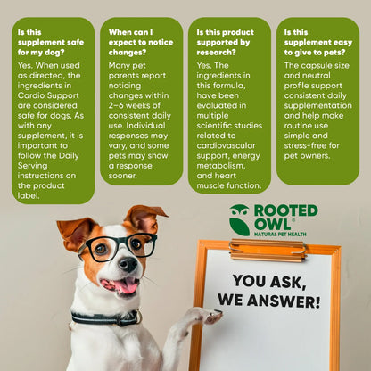 Rooted Owl Cardio Support Capsules for Dogs