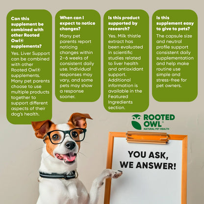 Rooted Owl Liver Support Capsules for Dogs