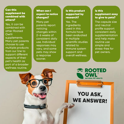 Rooted Owl Mushroom Immune Support Capsules for Dogs & Cats