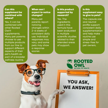 Rooted Owl Spirulina & Chlorella Capsules for Dogs & Cats