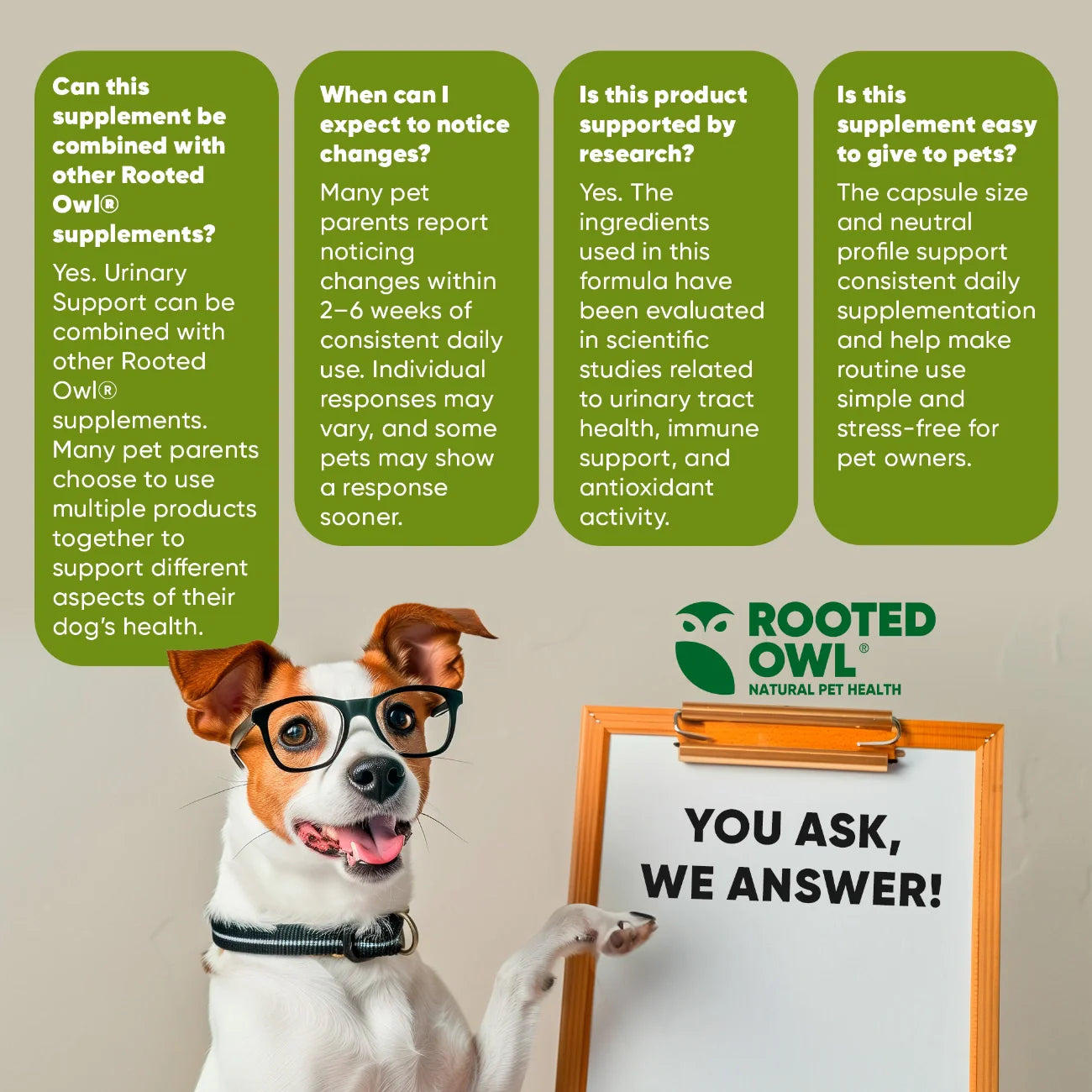 Rooted Owl Urinary Support Capsules for Dogs