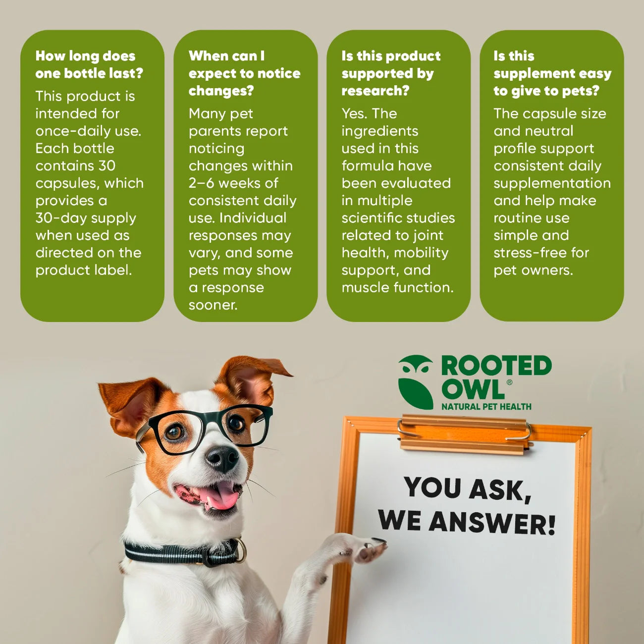 Rooted Owl Joint & Muscle Health Capsules for Medium & Large Dogs