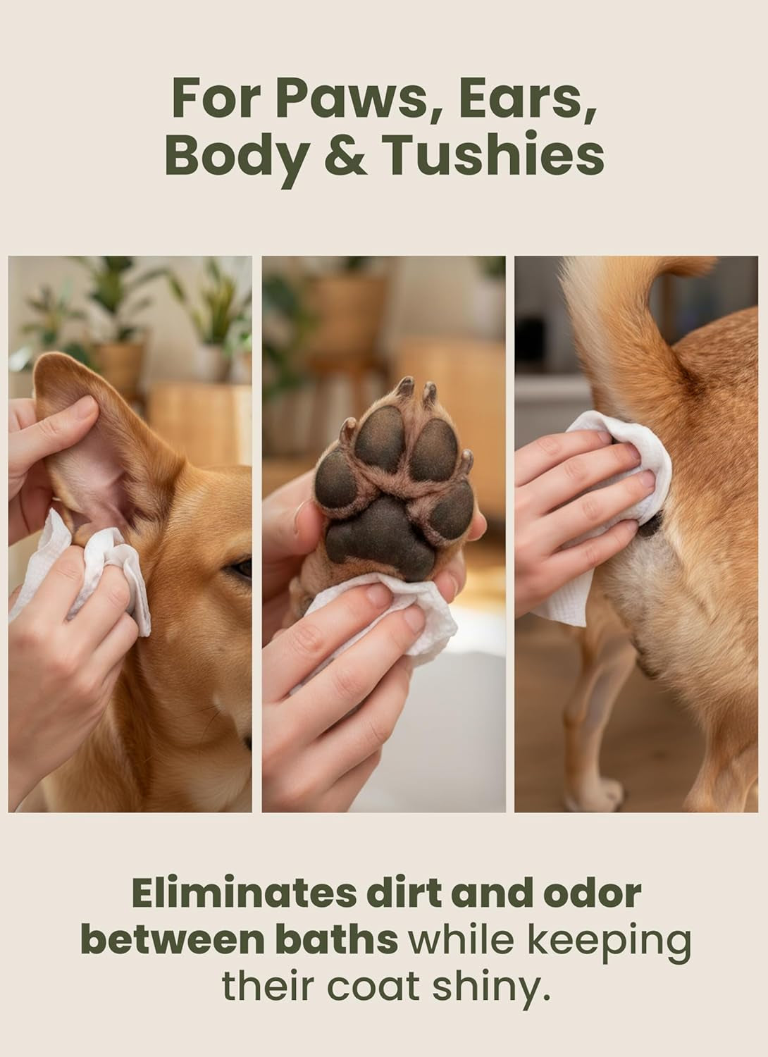Pogi’s Fragrance-Free Dog Wipes – Hypoallergenic Pet Cleaning Wipes for Paws, Body, Face, and Butt, 400 Count