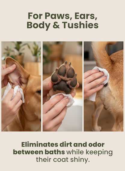Pogi’s Fragrance-Free Dog Wipes – Hypoallergenic Pet Cleaning Wipes for Paws, Body, Face, and Butt, 400 Count