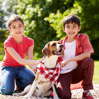 12-Pack Plaid Dog Bandanas – Adjustable Triangle Scarves for Small & Medium Pets