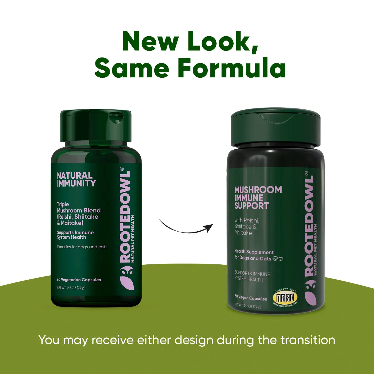 Rooted Owl Mushroom Immune Support Capsules for Dogs & Cats