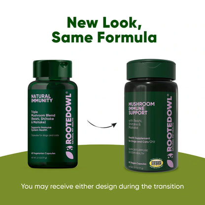 Rooted Owl Mushroom Immune Support Capsules for Dogs & Cats
