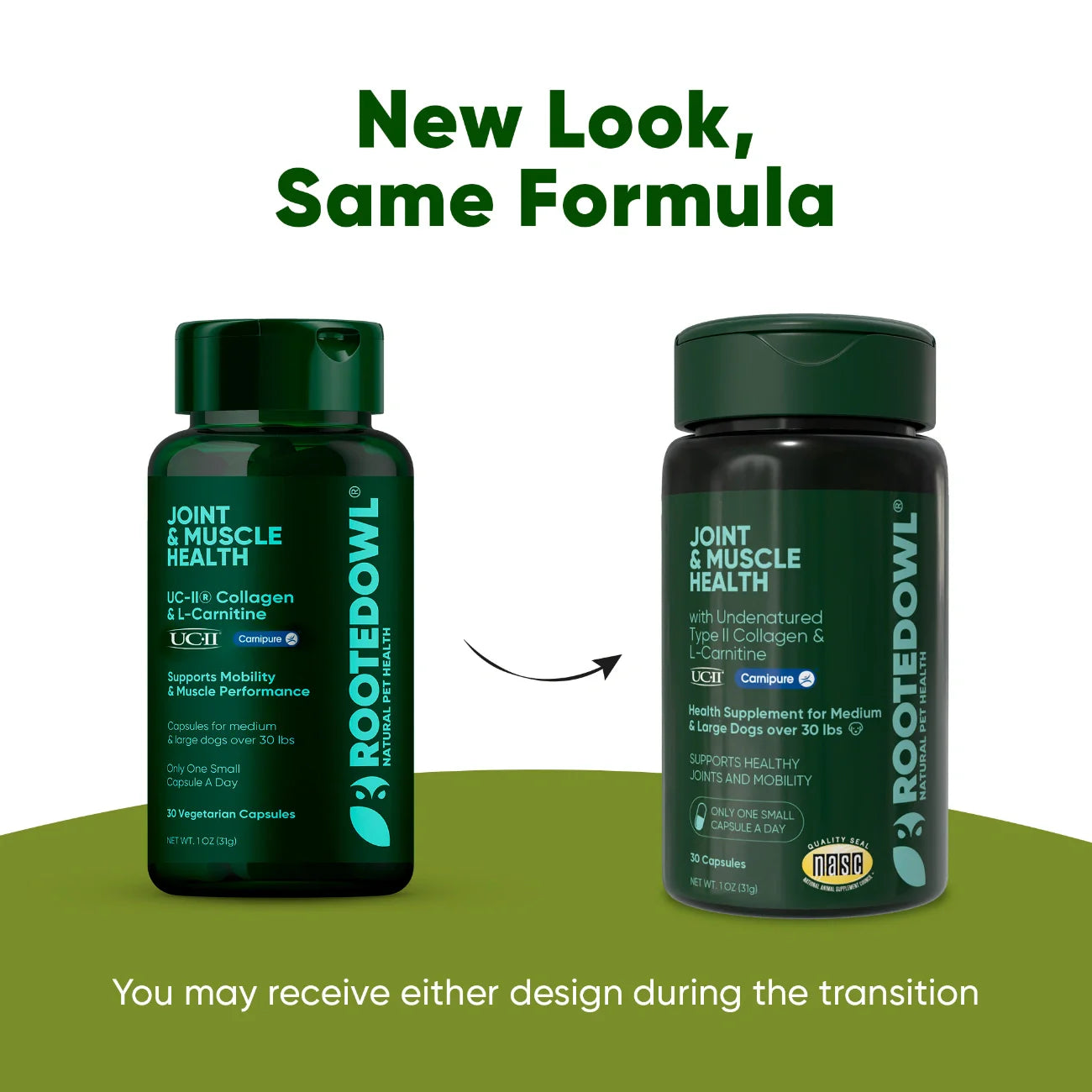 Rooted Owl Joint & Muscle Health Capsules for Medium & Large Dogs