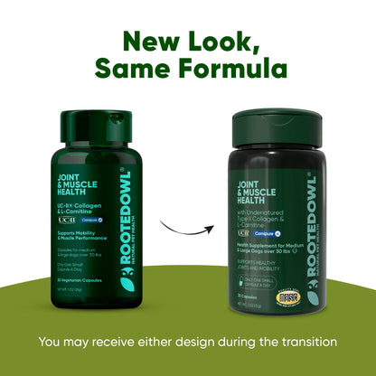 Rooted Owl Joint & Muscle Health Capsules for Medium & Large Dogs