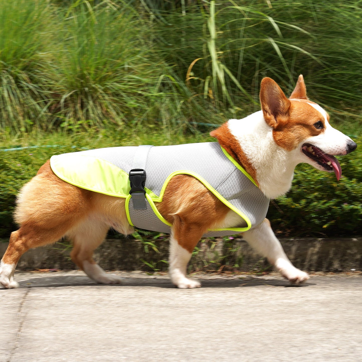 Dog Cooling Vest – Adjustable Summer Harness for Hot Weather