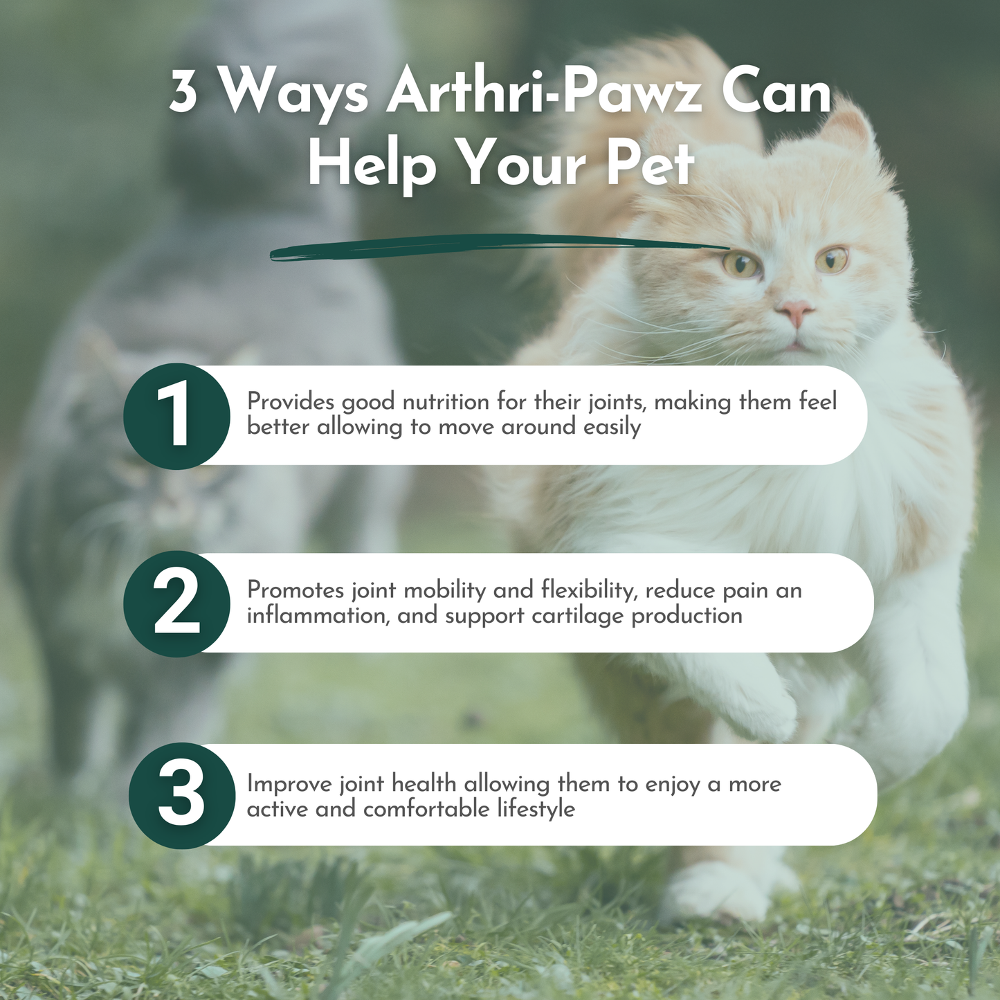Arthri-Pawz Glucosamine Supplement for Dogs & Cats