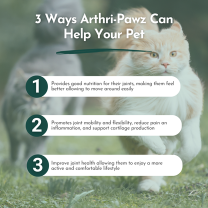 Arthri-Pawz Glucosamine Supplement for Dogs & Cats