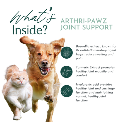 Arthri-Pawz Glucosamine Supplement for Dogs & Cats