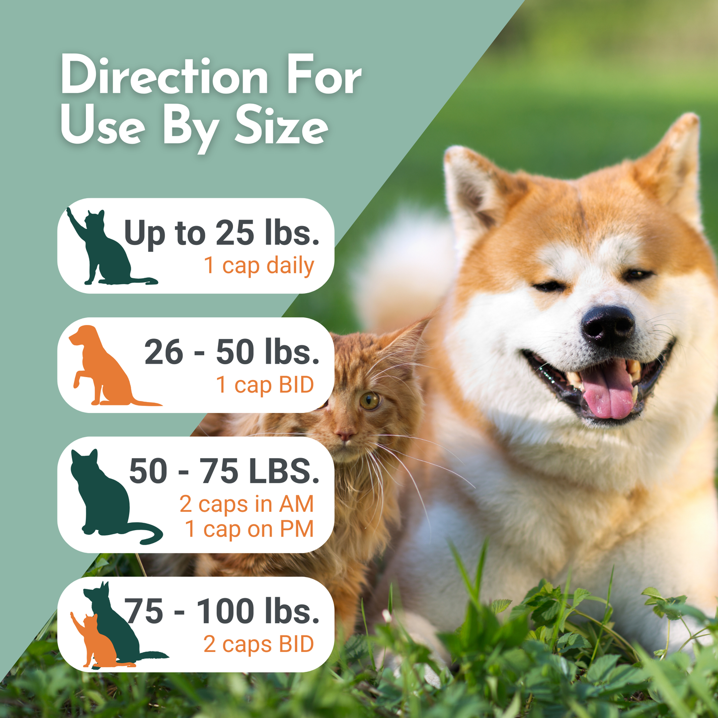 Arthri-Pawz Glucosamine Supplement for Dogs & Cats