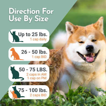 Arthri-Pawz Glucosamine Supplement for Dogs & Cats