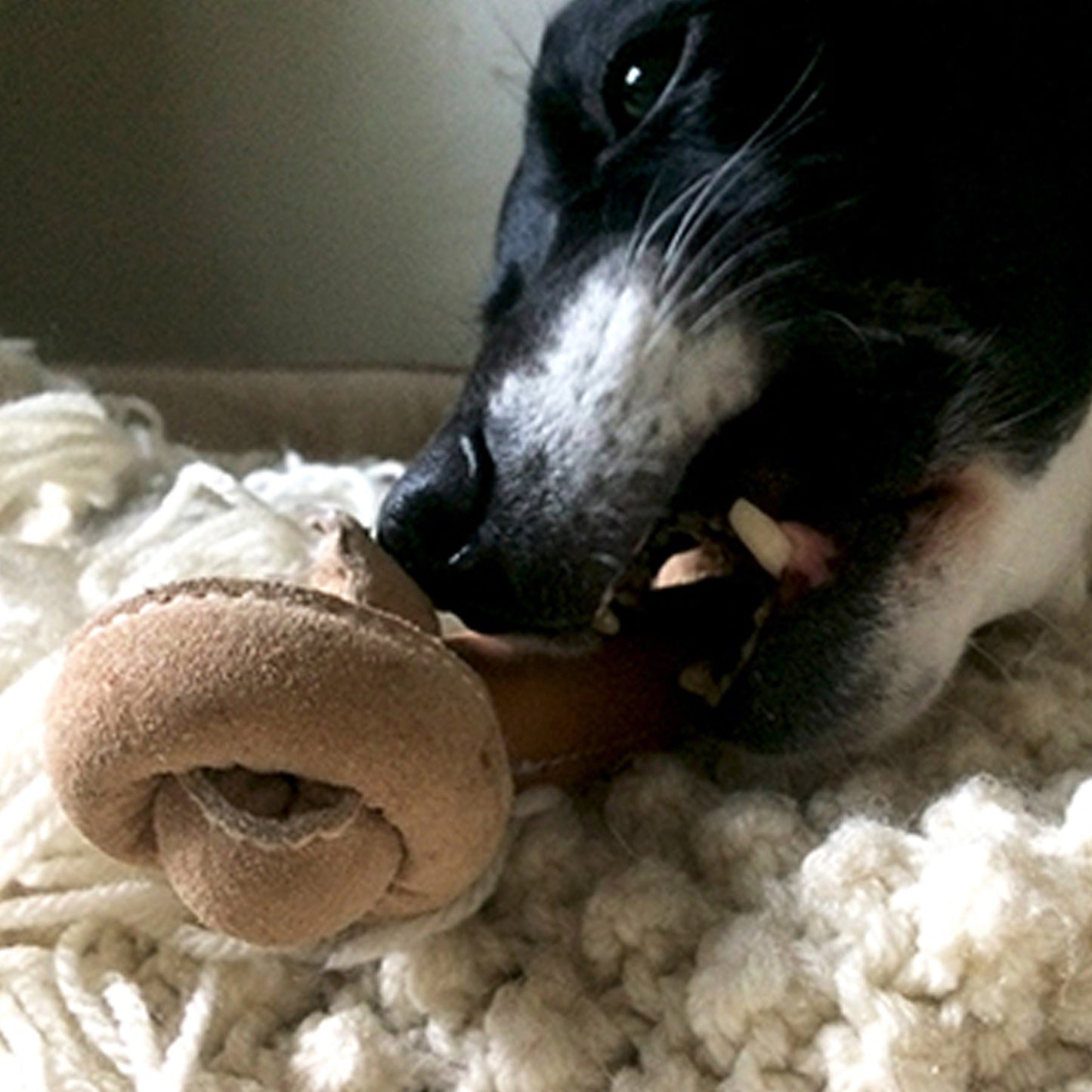 HuggleHounds Huggle-Hide Natural Leather Bone Dog Toys, 3-Pack