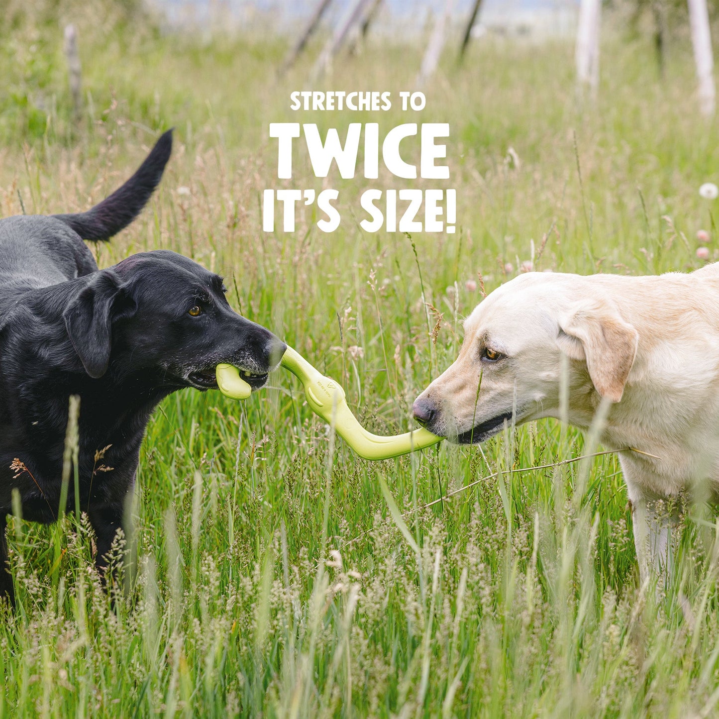 Bumi Dog Tug Toy – Stretchy S-Shaped Toy