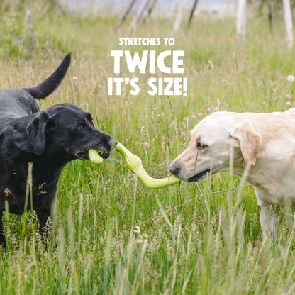 Bumi Dog Tug Toy – Stretchy S-Shaped Toy