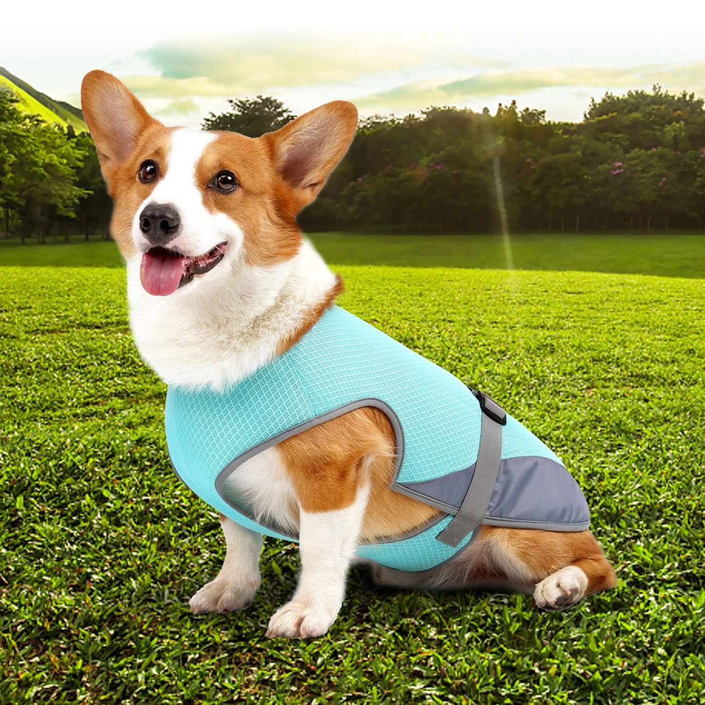 Dog Cooling Vest – Adjustable Summer Harness for Hot Weather