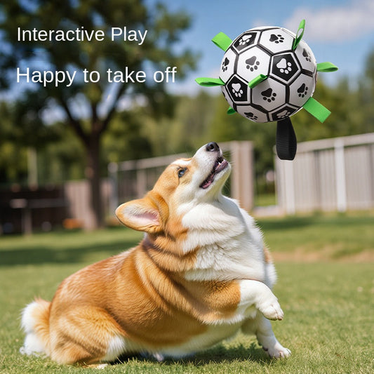 Dog Chew Ball Toy – Teeth Cleaning Soccer Ball for Outdoor Play