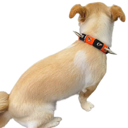 CoyoteCollar Spiked Dog Collar – Adjustable Neck Protection
