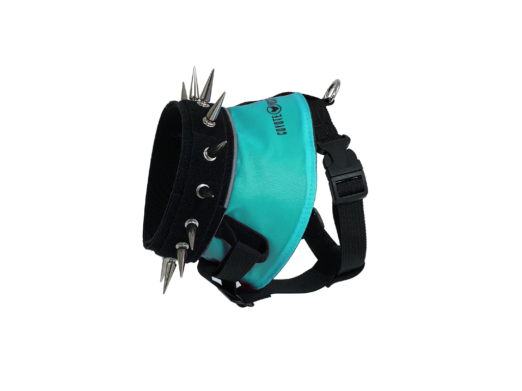 BullyHarness Spiked Dog Collar Harness – Adjustable Neck Protection