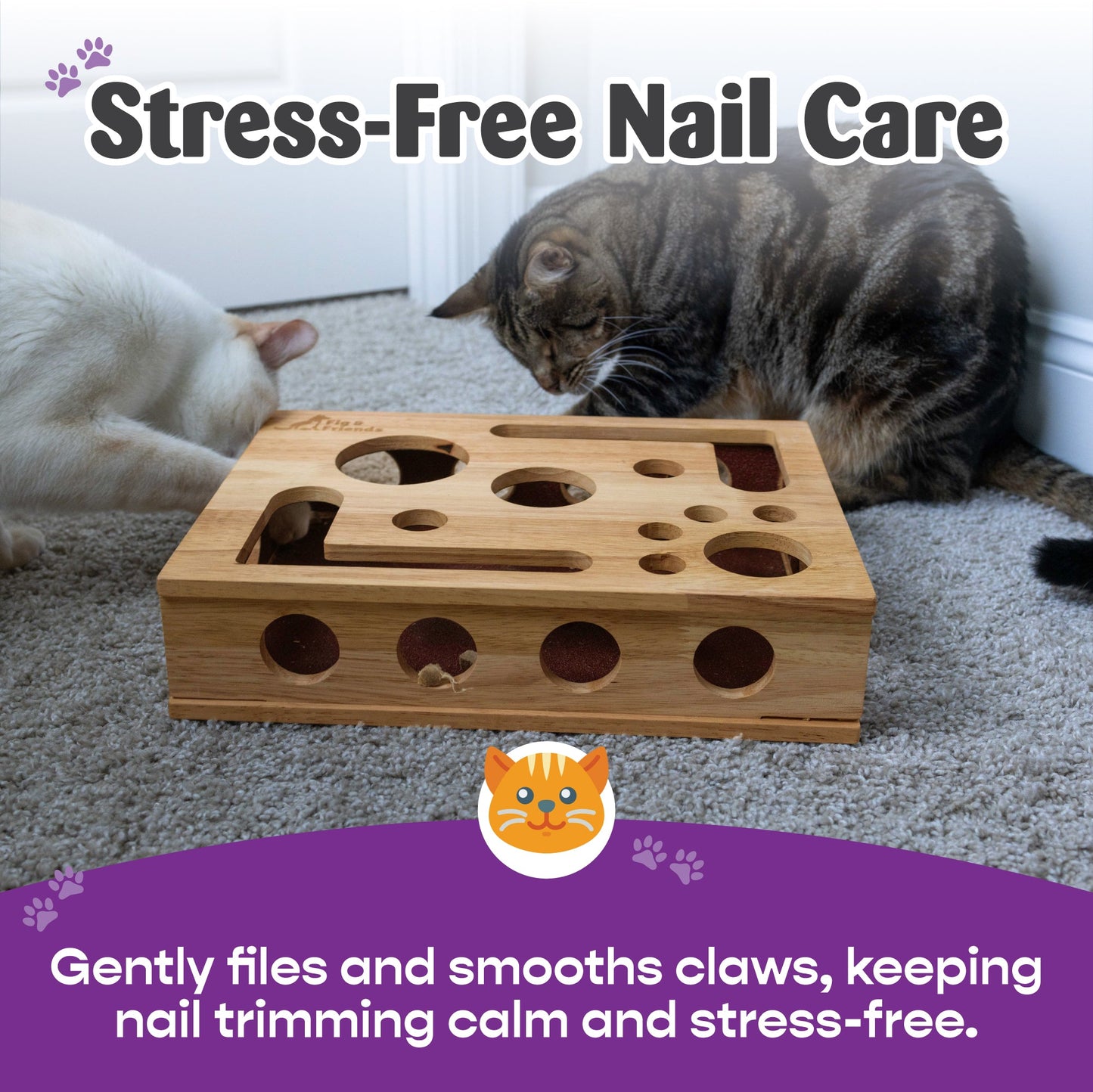 Original Cat Nail File Enrichment Box – Cat Nail Care Scratcher
