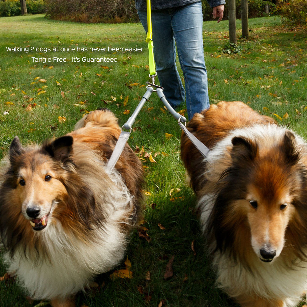 CRAZYcoupl’r Dog Leash Coupler – Walk 2 Dogs with 1 Leash