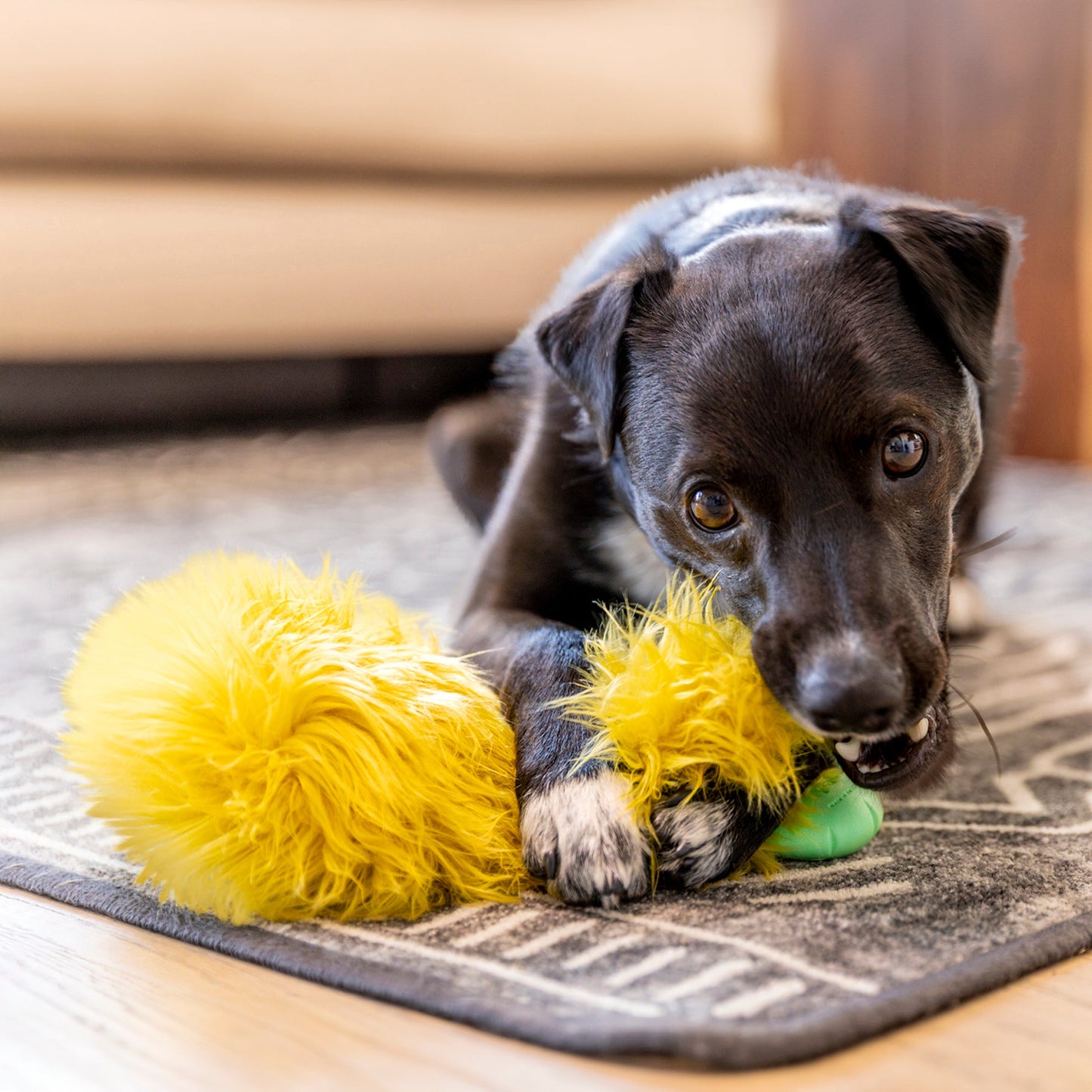 Astrid Rowdies Dog Toy – Durable Plush Toy