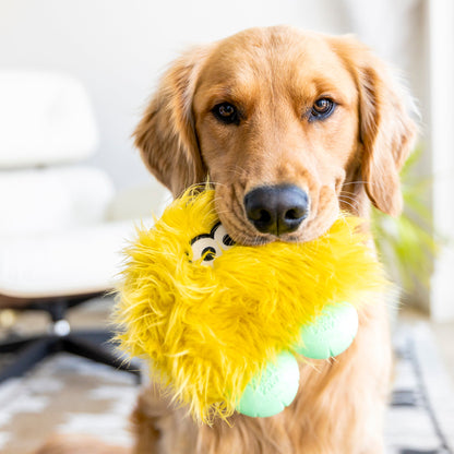 West Paw Rolf Rowdies – Durable Plush Toy