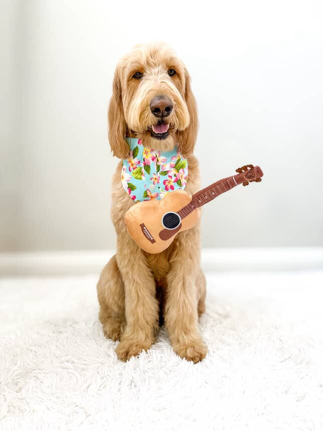 PupRoar Guitar Squeaky Plush Dog Toy with Crinkle