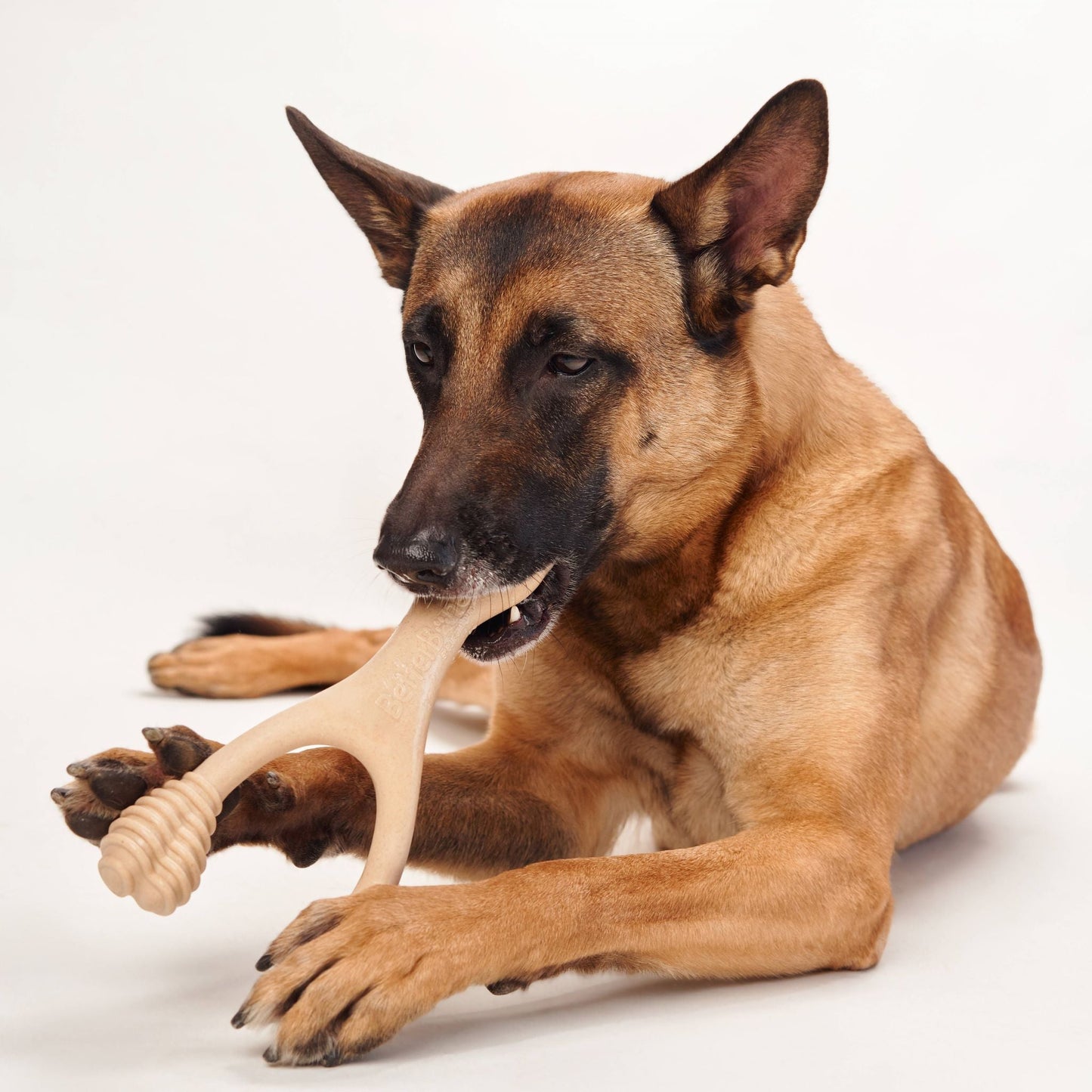BetterBone Chew Toy (Moderate)
