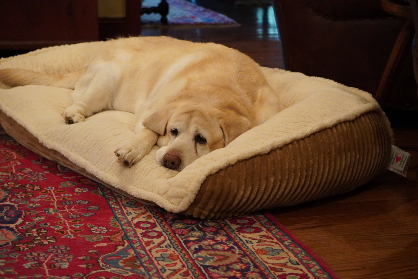 HuggleHounds Scout Perfect Bolster Dog Bed