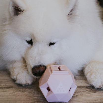 The Odin Dog Treat Dispensing Toy – Interactive Puzzle Feeder