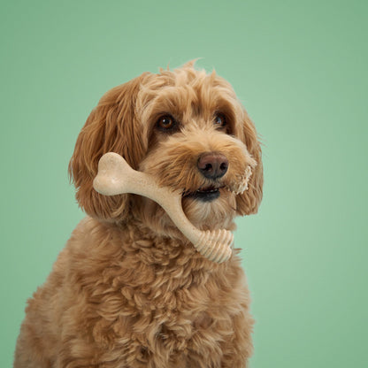 BetterBone Chew Toy (Moderate)
