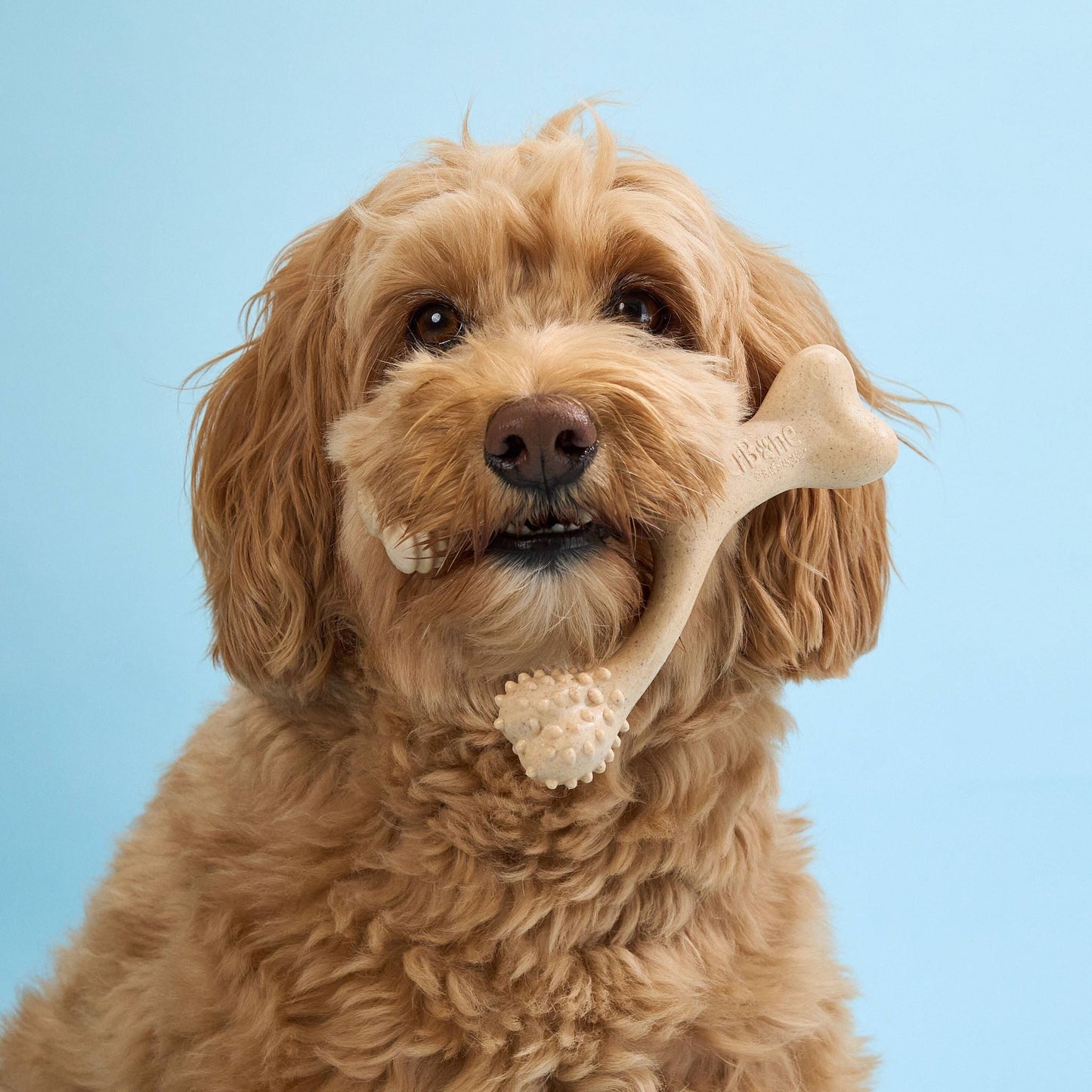 BetterBone Chew Toy (Light)