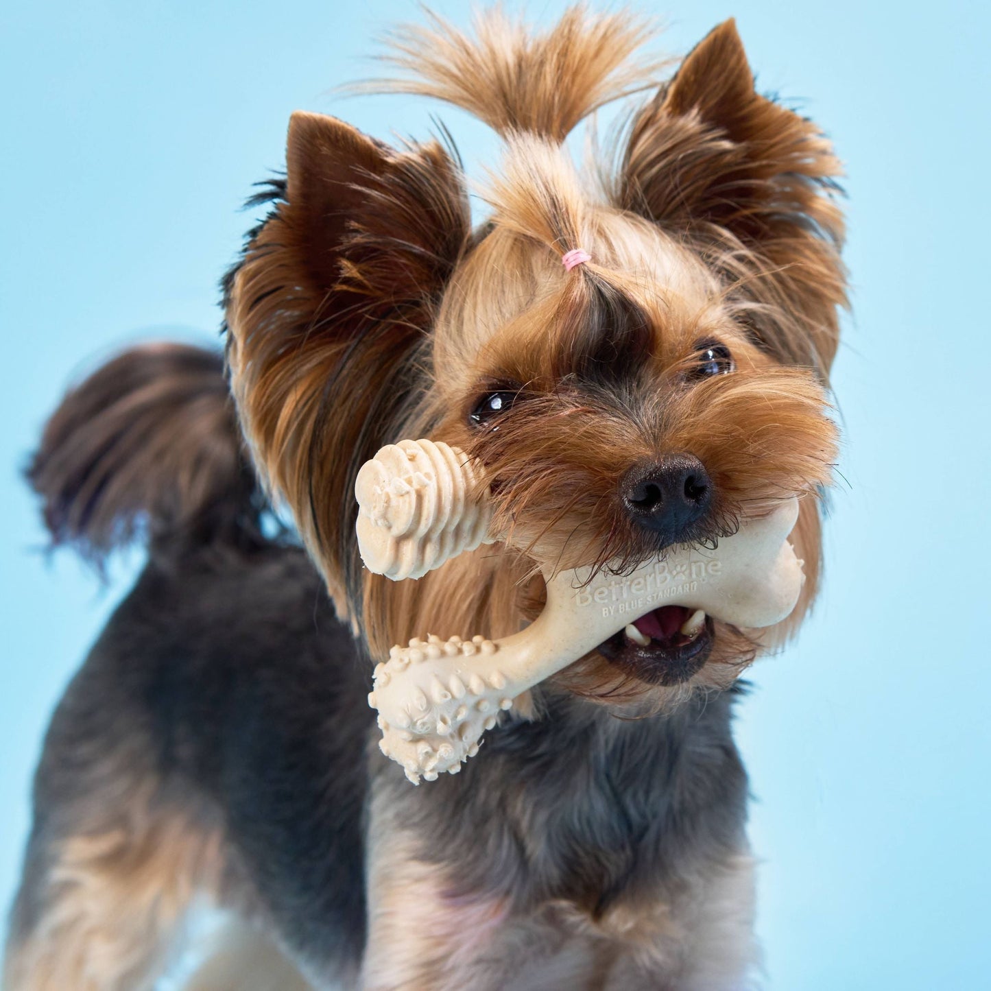 BetterBone Chew Toy (Light)