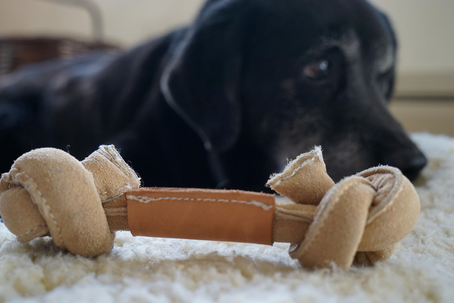 HuggleHounds Huggle-Hide Natural Leather Bone Dog Toys, 3-Pack