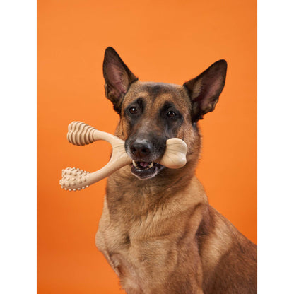 BetterBone Chew Toy (Hard)