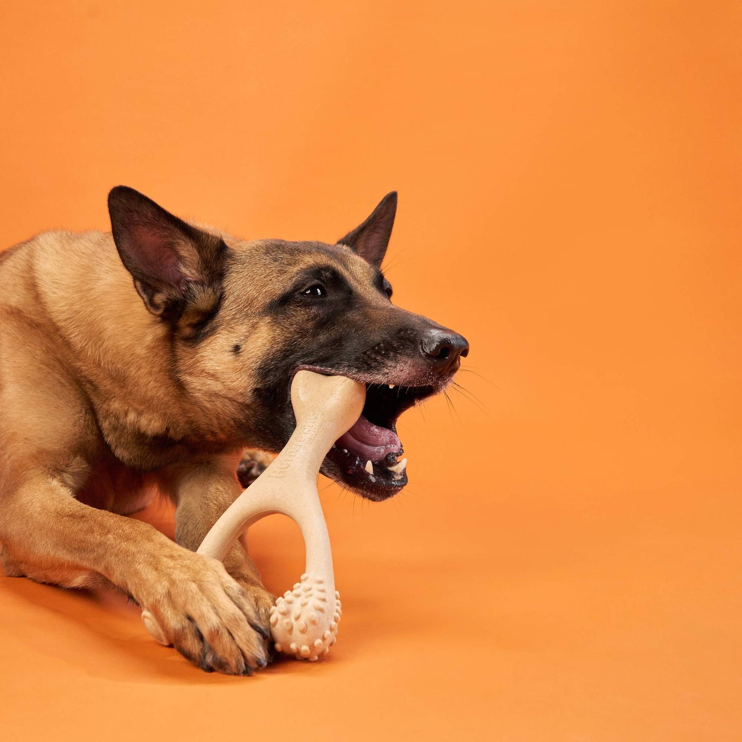 BetterBone Chew Toy (Hard)