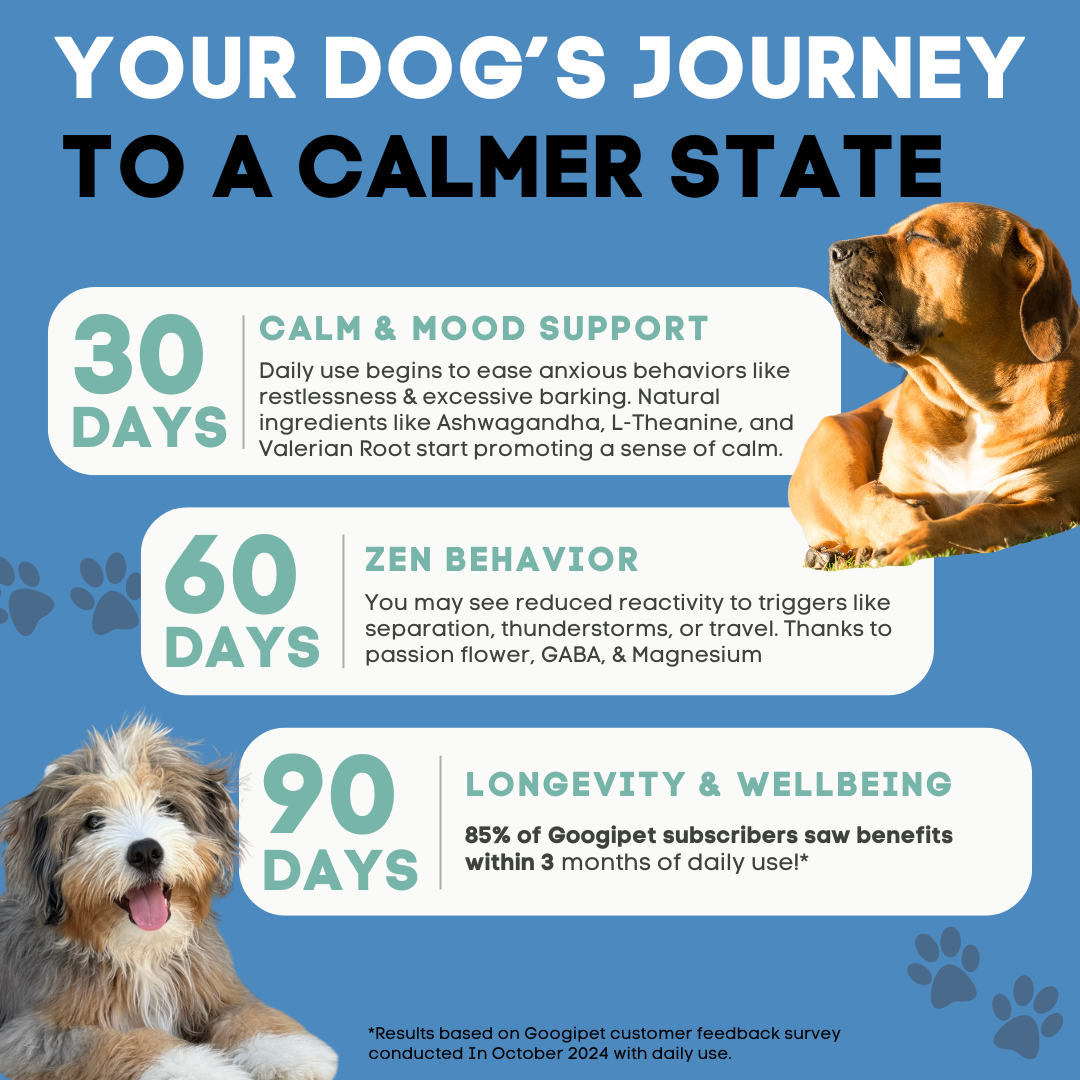 Googipet Hemp Calming Chews for Dogs – Chamomile & Valerian