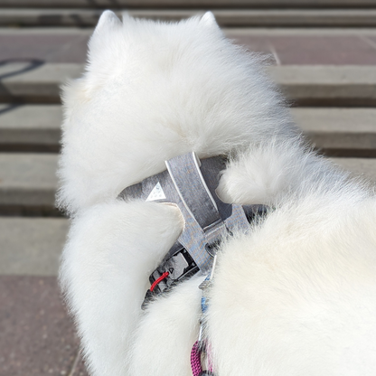 Magnetic No-Pull Dog Harness – One-Hand Clip Design