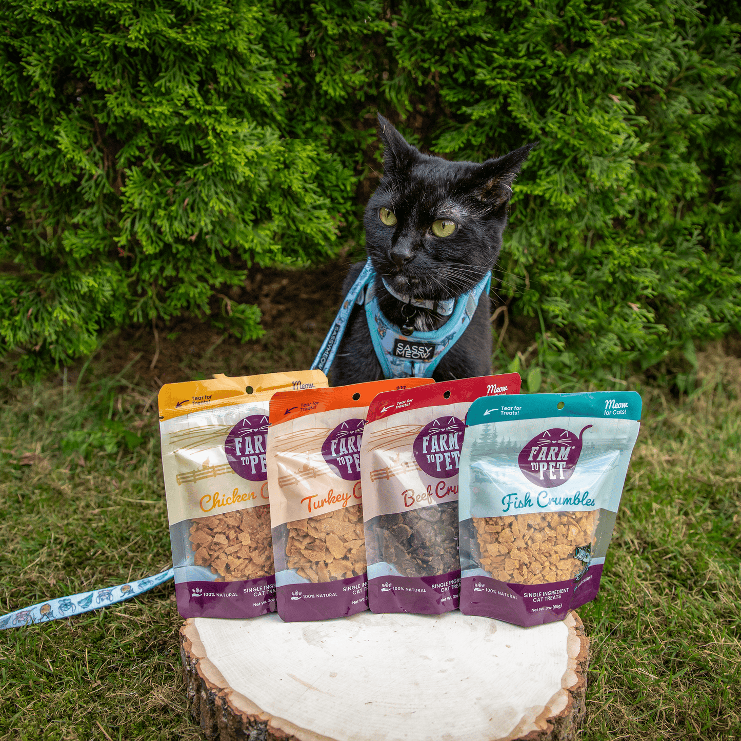 Farm to Pet Fish Crumbles All-Natural Walleye Cat Treats