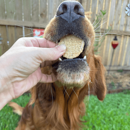Farm to Pet Fish Chips Wild-Caught Walleye Dog Treats