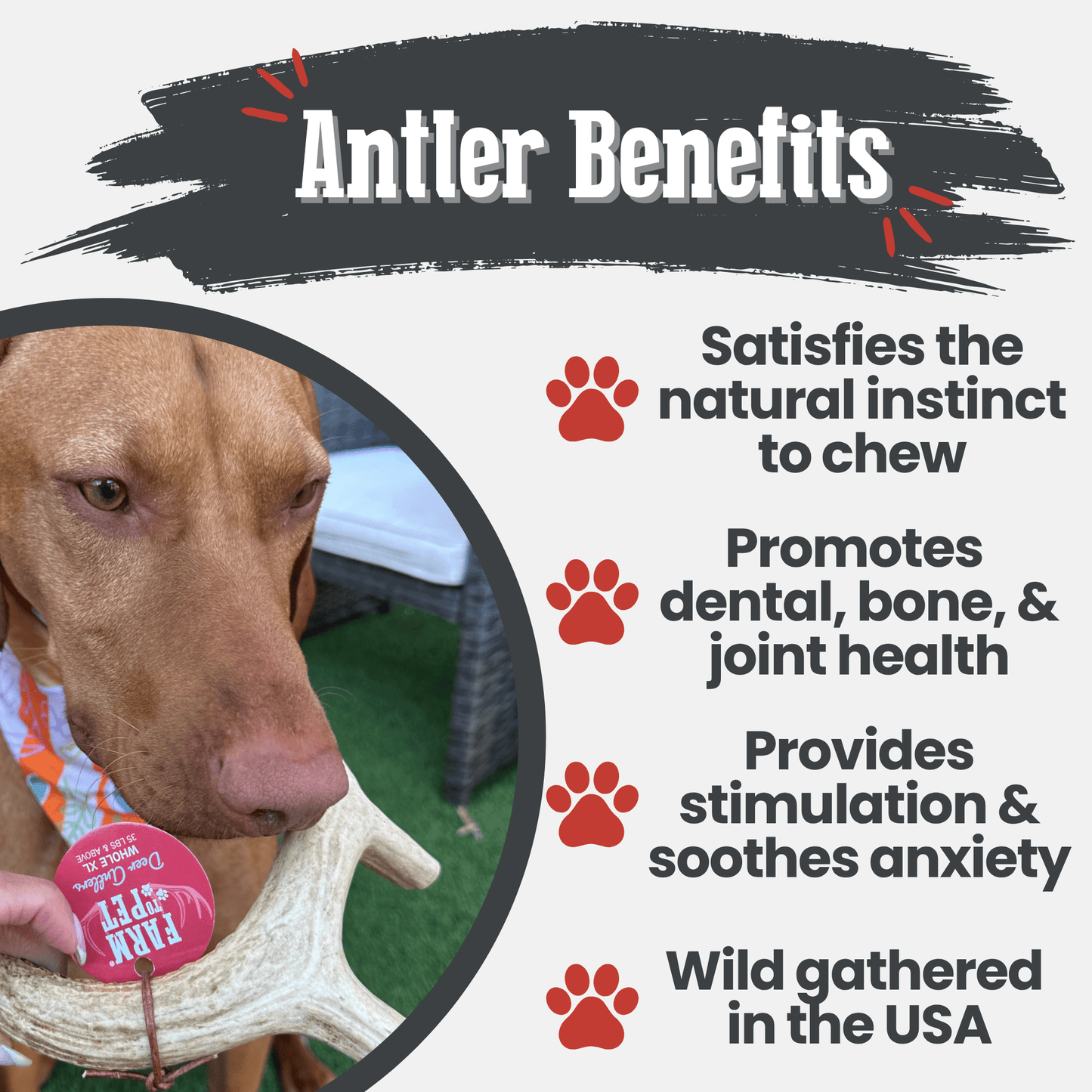 Farm to Pet Deer Antler Dog Chews