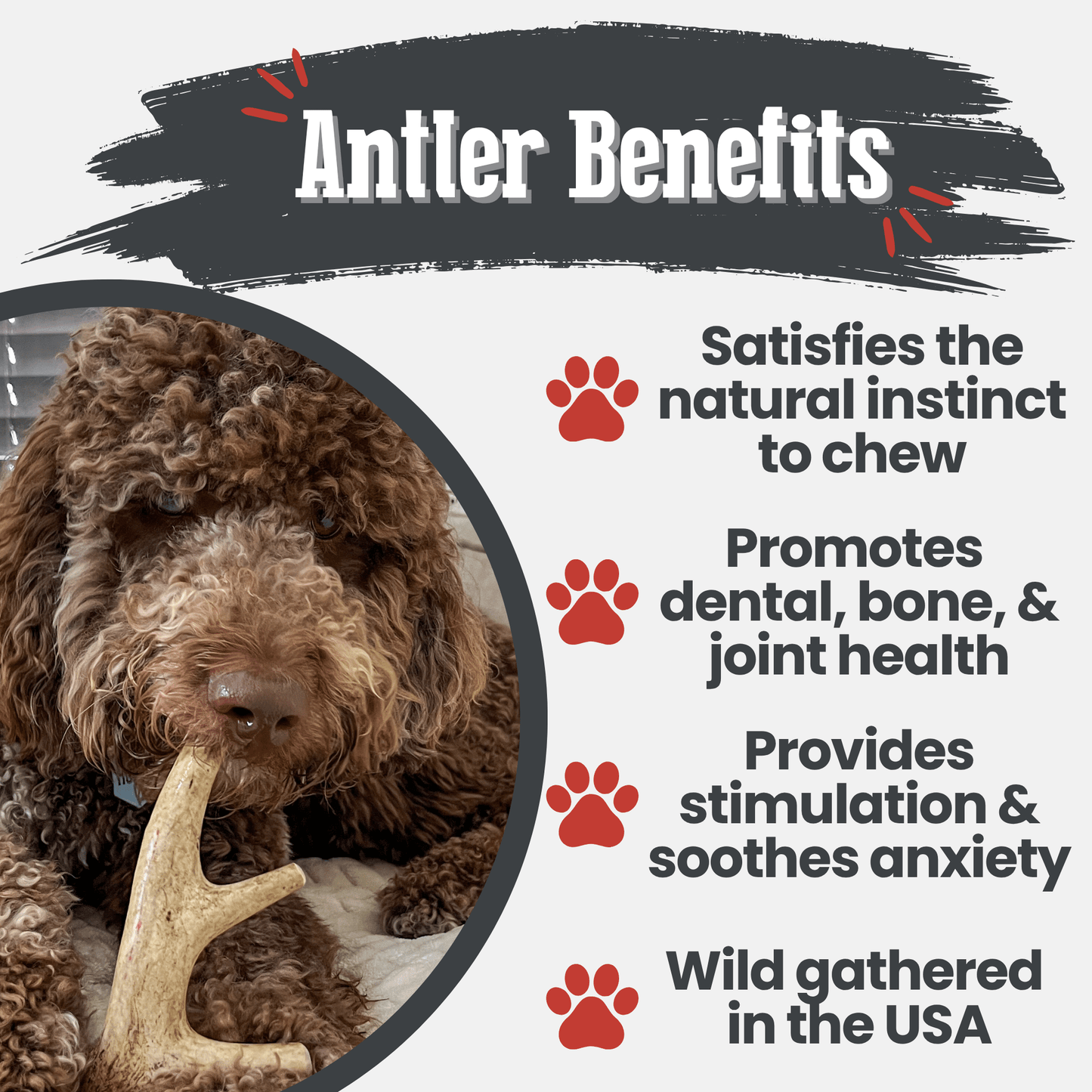 Farm to Pet Deer Antler Dog Chews