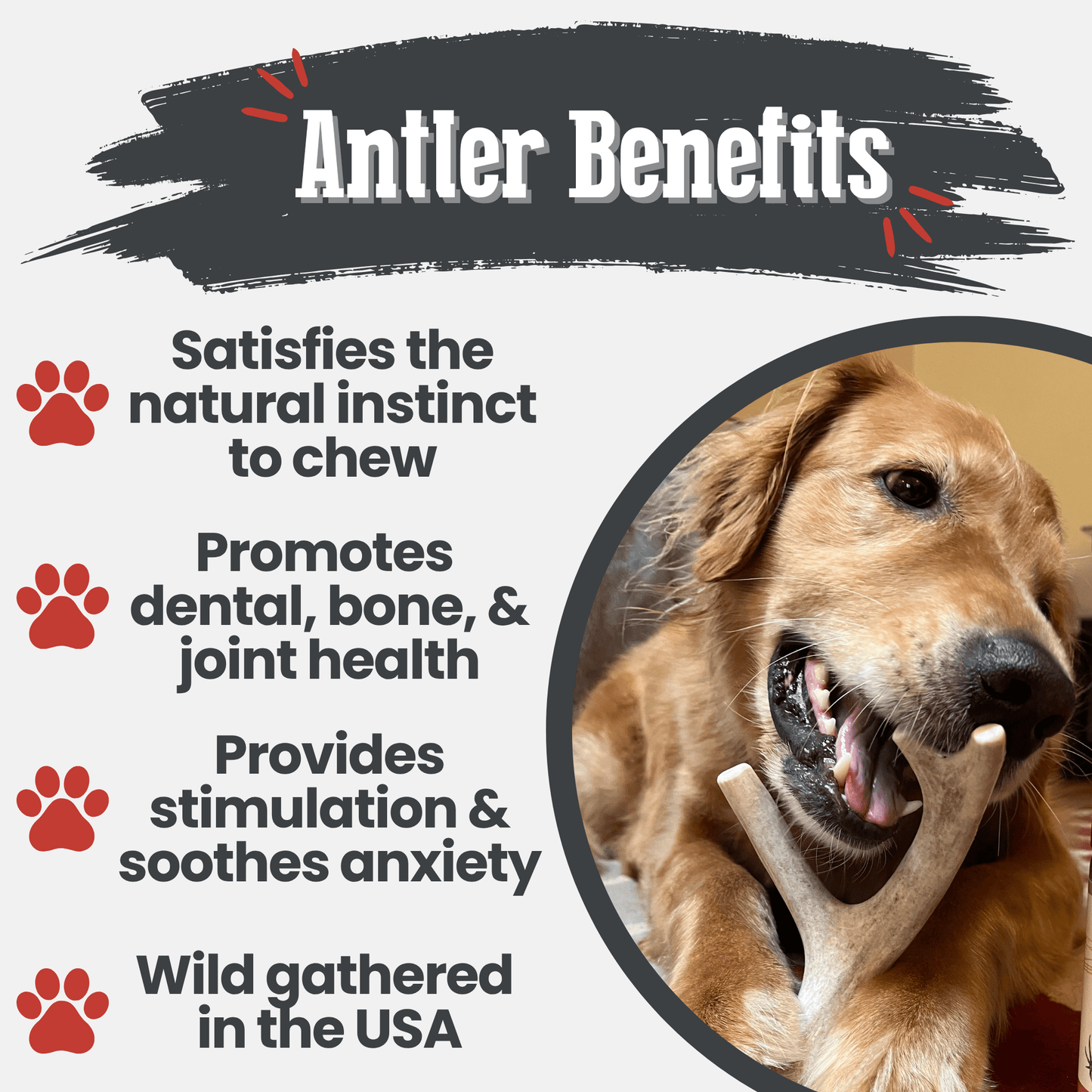 Farm to Pet Deer Antler Dog Chews