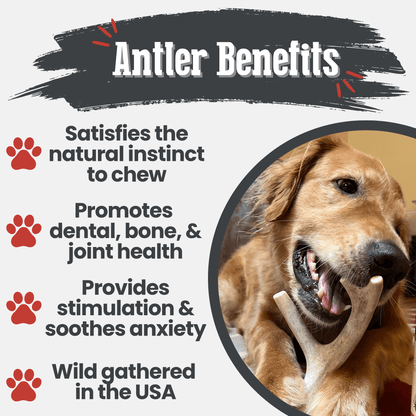 Farm to Pet Deer Antler Dog Chews