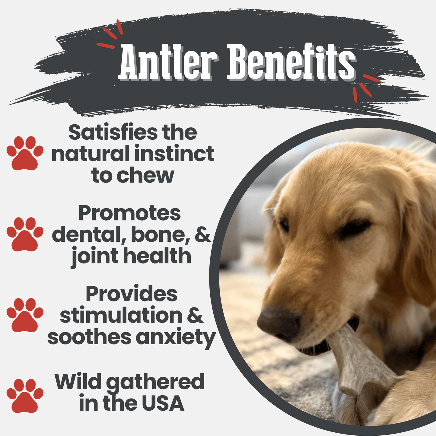 Farm to Pet Deer Antler Dog Chews