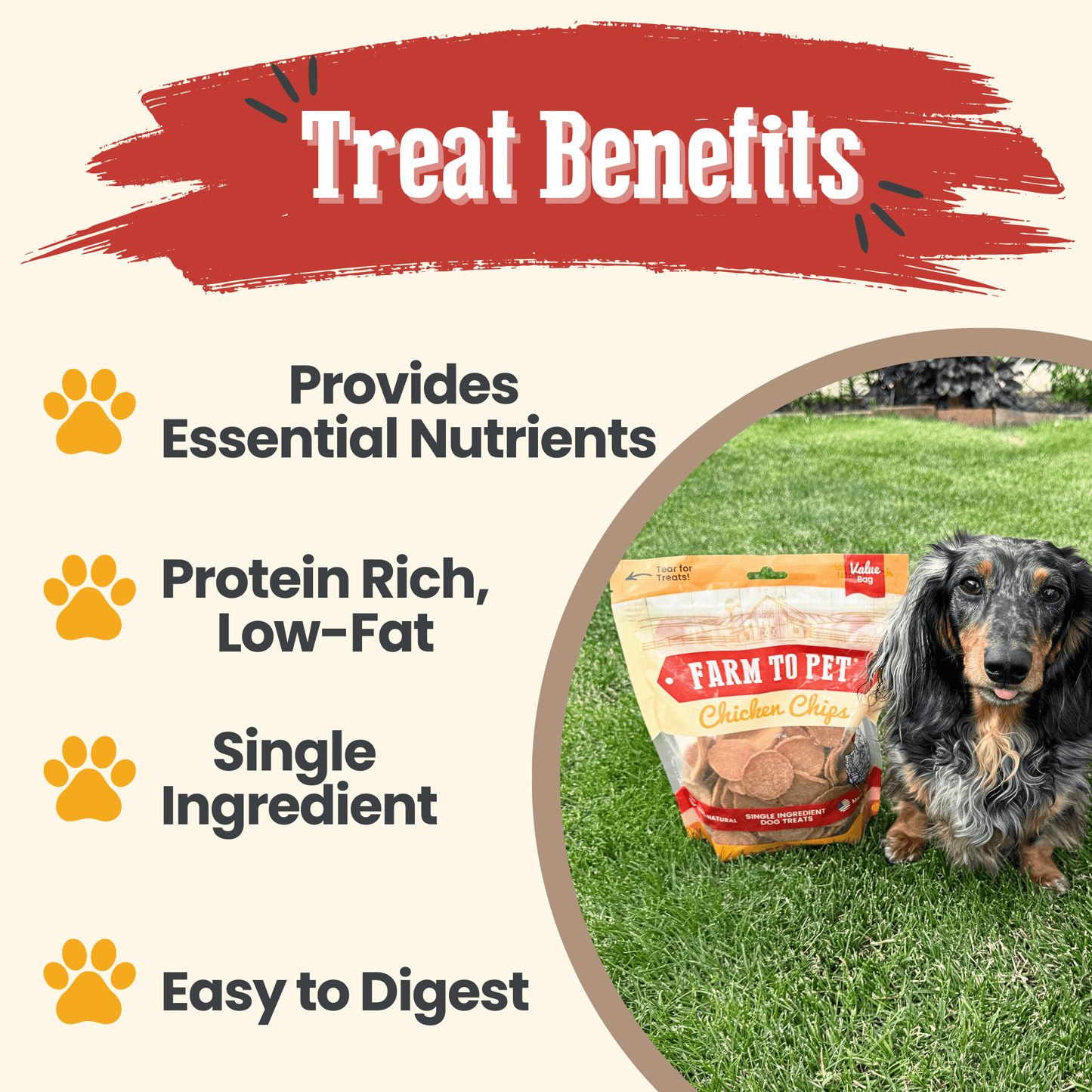 Farm to Pet Chicken Chips Single-Ingredient Dog Treats
